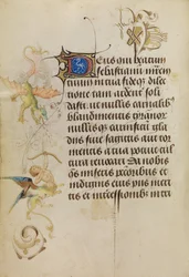 Página de texto decorada